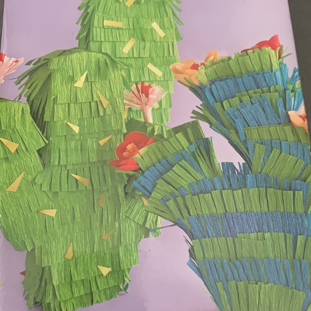 K&Company crepe paper piñatas 🪅 kit